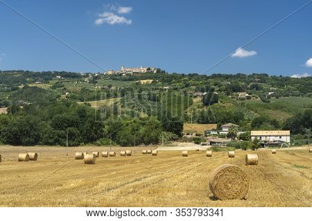 Rural Landscape At Summer Near Monterubbiano, Fermo, Marches, Italy