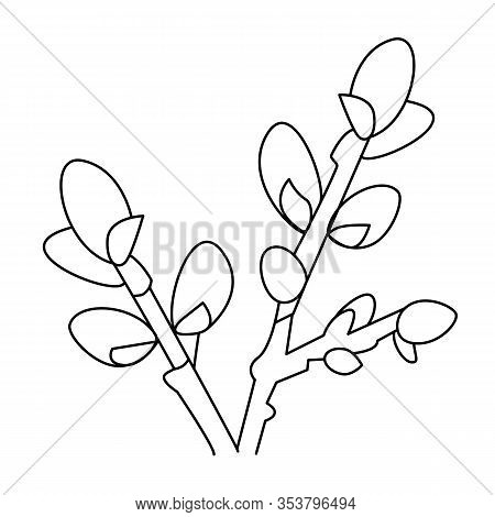 Sprig Of Willow In Hand Drawn Doodle Style Isolated On White Background. Design Easter Card, Colorin