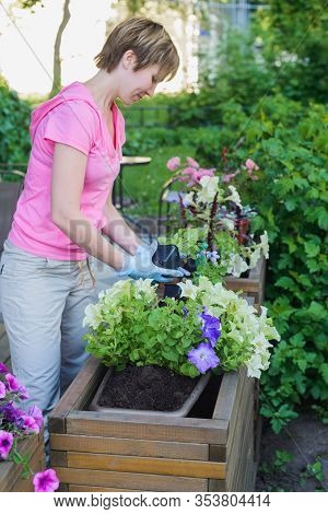 Young Asian Woman Florist Planting Flowers In Wooden Container Pot Outside, Outdoors Planting Landsc