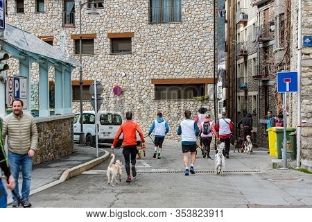 Encamp, Andorra : 1 March 2020 : People And Dogs In The Amateur Race In Encamp. Canicross In Andorra