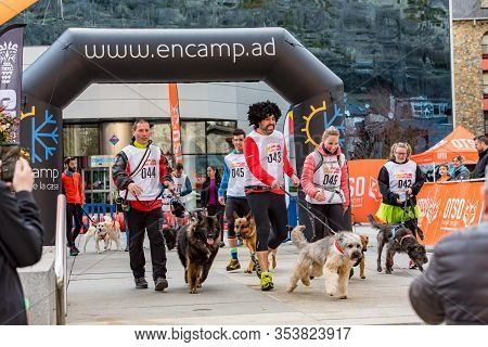 Encamp, Andorra : 1 March 2020 : People And Dogs In The Amateur Race In Encamp. Canicross In Andorra