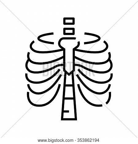Sternum Bone Structure Line Icon, Concept Sign, Outline Vector Illustration, Linear Symbol.