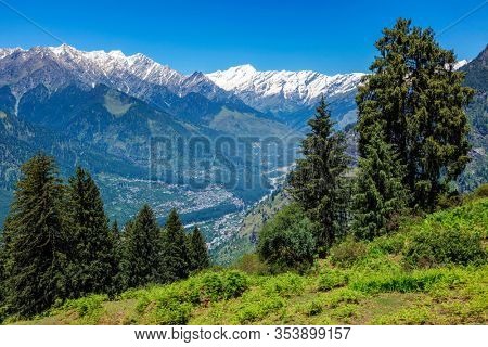 Spring meadow in Kullu valley in Himalaya mountains. Himachal Pradesh, India