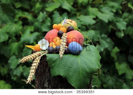 Un montón de frutas