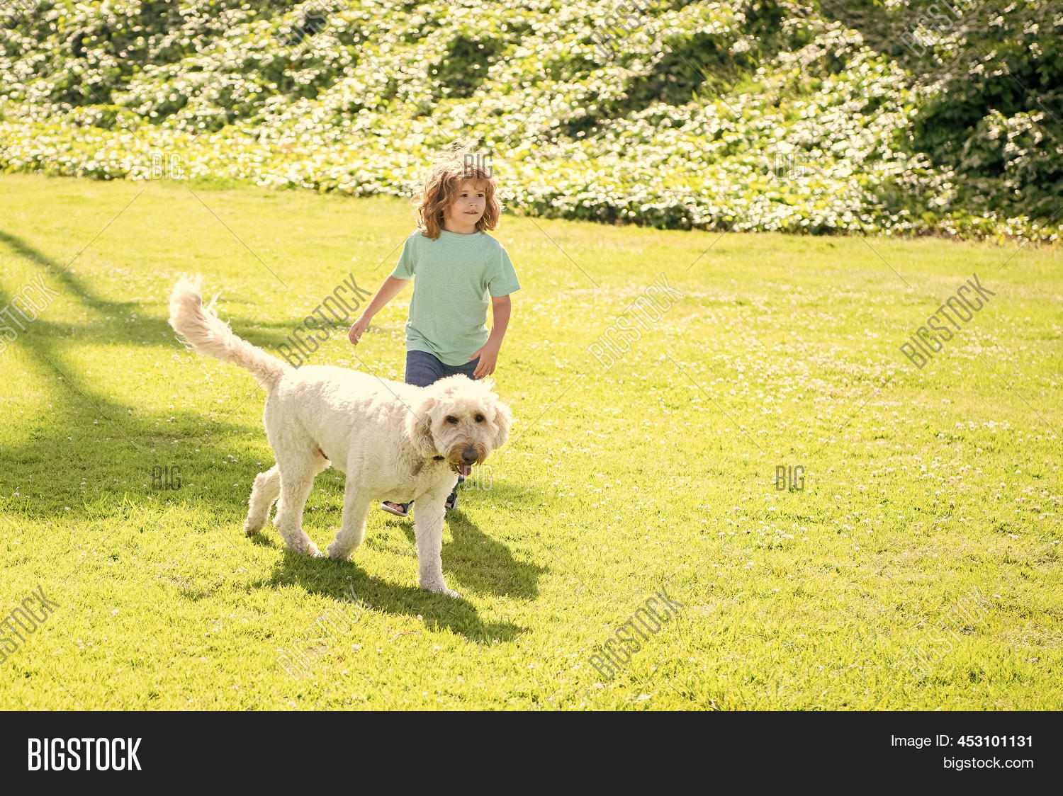 Happy Kid Play Dog. Image & Photo (Free Trial) Bigstock