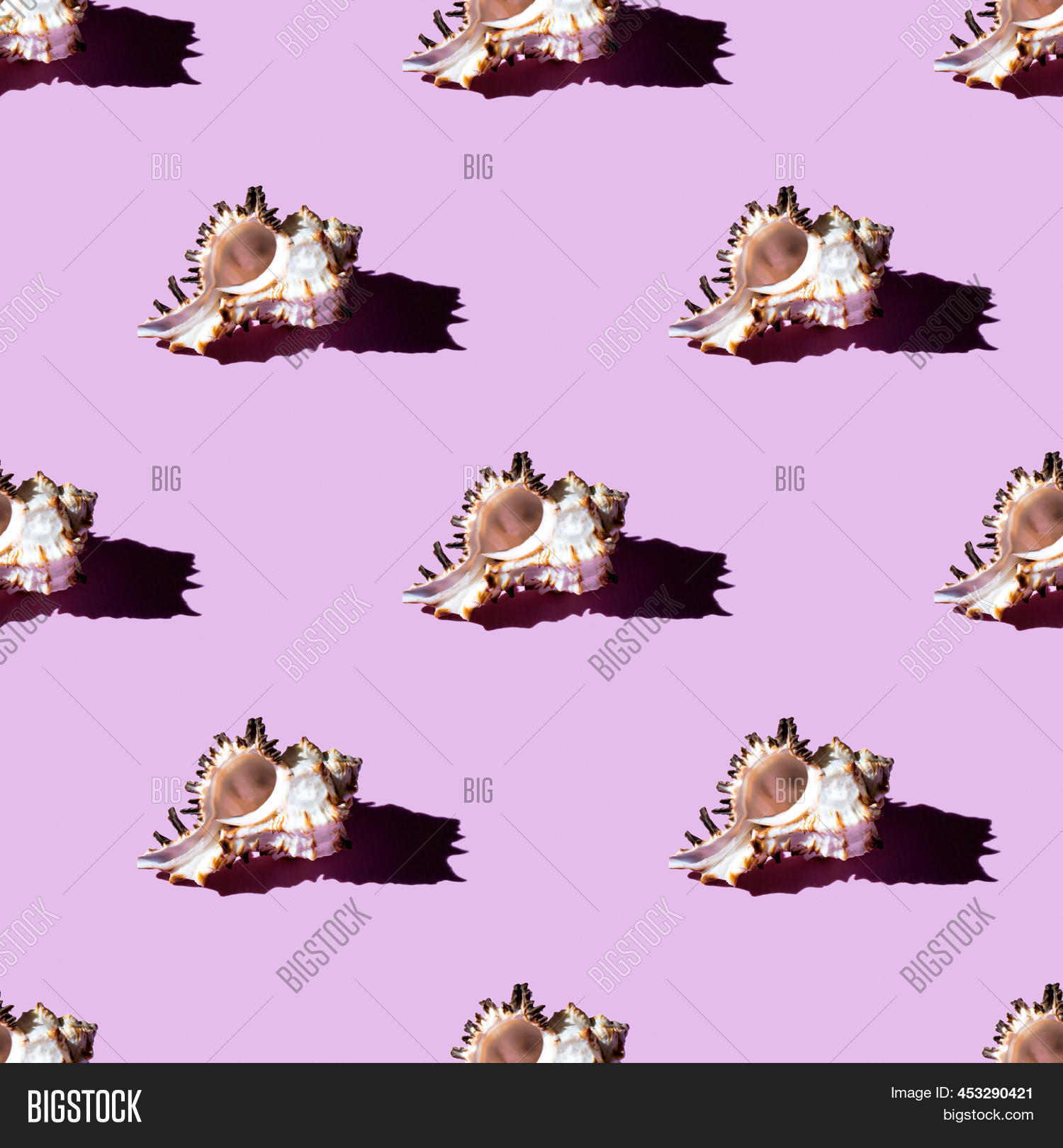 Shell Clum Pattern Seamless Pattern Clam Image & Photo (Free Trial) | Bigstock