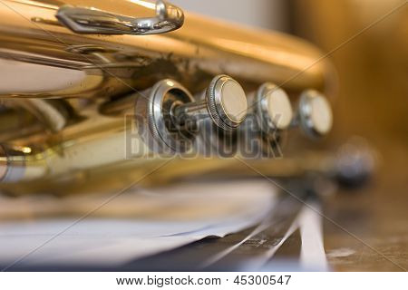 Trumpetti männät