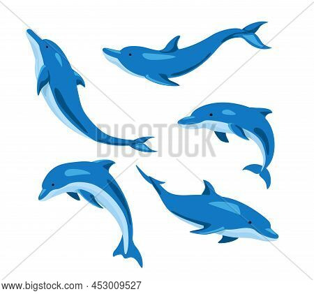 Set Of Lovely Blue Dolphins From Different Angles On White Background. Vector Beautiful Characters D