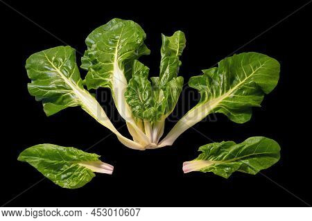 Blitva ( Chard Leaves ) - Popular Leafy Vegetables In Balkan Cuisine.  Isolated On Black