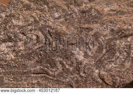 Magnetite In Ferruginous Quartz. Close-up Of A Mineral. Paleontological Background, Texture