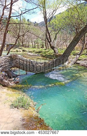 Fallen Tree Bark Inside The River - Spring Forest Landscape At Achaia Peloponnese Greece
