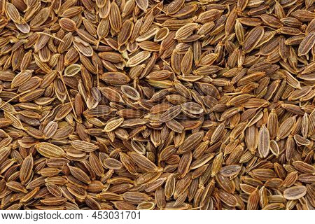 Dry Rolls Dill - Anethum Graveolens - Seeds On Flat Surface, Flat Macro Texture And Full-frame Backg
