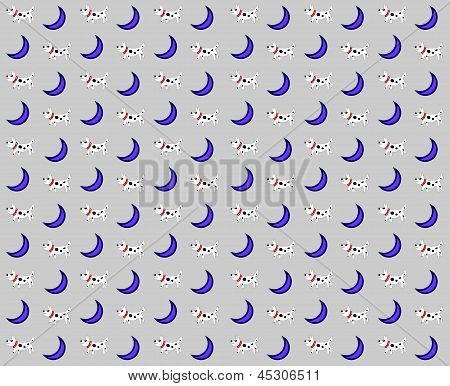 Cani e Luna