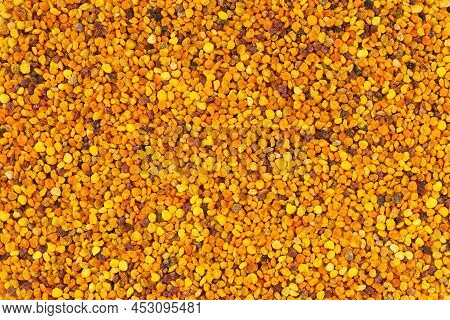 Bee Pollen Or Perga As A Background. Summertime Pollen Texture Pattern Evenly Spaced Across The Top 