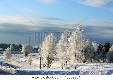 Paesaggio invernale