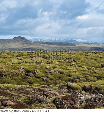 Scenic Autumn Green Lava Fields Near Fjadrargljufur  Canyon In Iceland. Green  Moss On Volcanic Lava