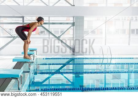 Professional Woman Swimmer In A Starting Position In The Pool