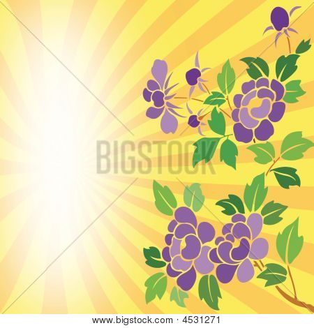 Été