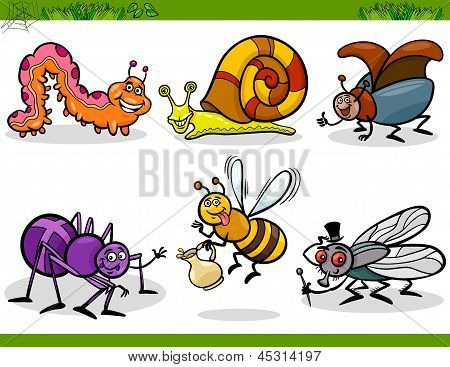 Gelukkig insecten instellen Cartoon afbeelding