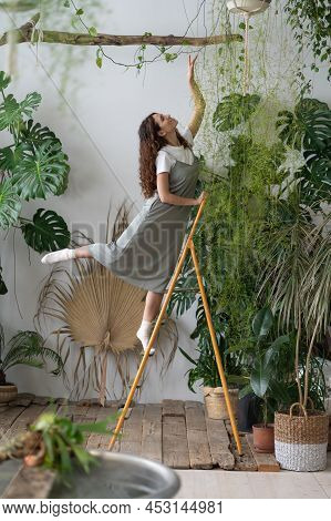 Dreamy Self-confident Woman Grows Plants, Takes Care Of Flowers, Enjoys Beauty Around In Greenhouse.