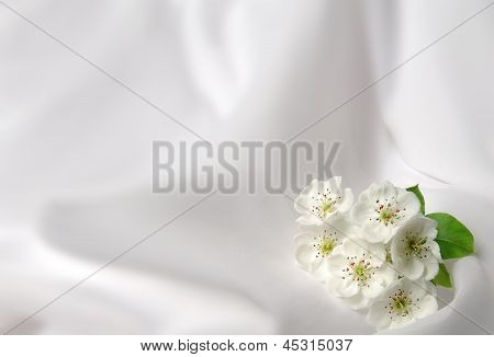 Fondo con flores