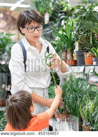 Woman And Kid Choose Plants For Home. Mother And Son Near Shelves With Seedlings, Flowering Plants A