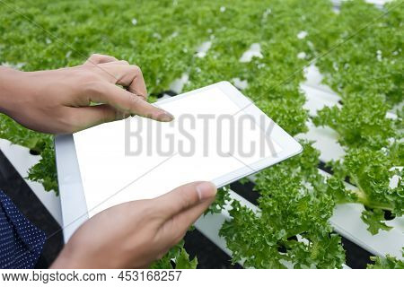 Mockup Digital Tablet Blank White Screen, Hands Holding Tablet Empty Display Use For Application Inf