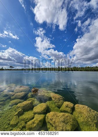 Submerged Boulders Along Shore Of Pine Glades Lake In Everglades National Park, Florida Clearly Visi