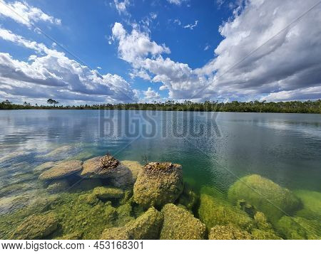 Submerged Boulders Along Shore Of Pine Glades Lake In Everglades National Park, Florida Clearly Visi
