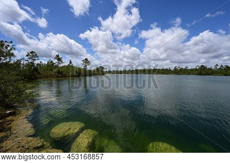 Submerged Boulders Along Shore Of Pine Glades Lake In Everglades National Park, Florida Clearly Visi