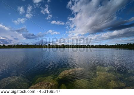 Submerged Boulders Along Shore Of Pine Glades Lake In Everglades National Park, Florida Clearly Visi