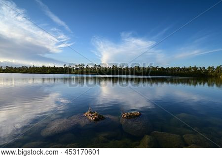 Submerged Boulders Along Shore Of Pine Glades Lake In Everglades National Park, Florida Clearly Visi