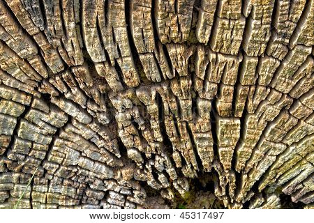 weathered wood