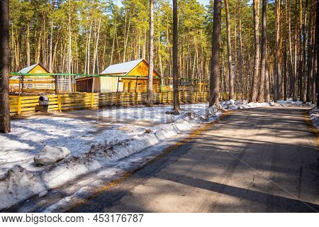Kemerovo, Russia - April 16, 2022: People Are Walking In Forest Of Open-air Museum Tomsk Pisanitsa L