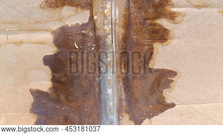 Wet Cardboard Boxes For A Long Time, The Accumulation Of Germs. Causing Small Yellow Worms