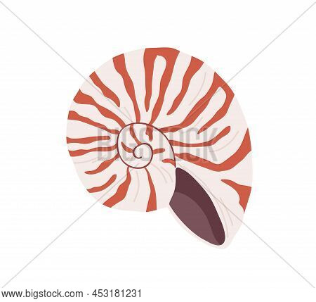 Snail Seashell. Marine Underwater Swirled Sea Shell Of Round Spiral Shape. Undersea Mollusc. Mollusk