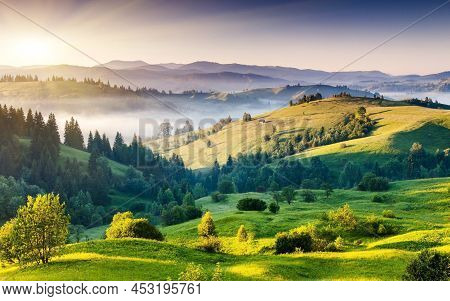Beautiful Natural Landscape In The Summer Time.