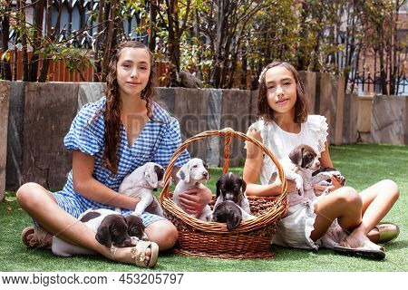 Beautiful Young Girls Having Fun With Their Small French Braque Puppies