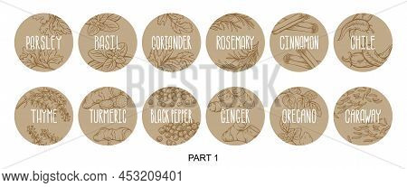 Vector Set Of Stickers For Spices.  Basil, Parsley, Coriander, Rosemary, Cinnamon, Chili, Pepper, Th