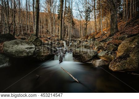Czech Natural Reserve Called Jizerskohorske Buciny,jizera Mountain Beechwood, On Unesco List.unique 