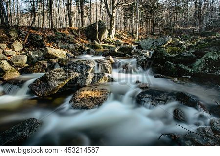Czech Natural Reserve Called Jizerskohorske Buciny,jizera Mountain Beechwood, On Unesco List.unique 