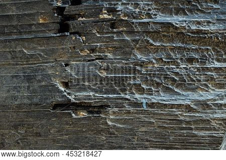 The Mineral Phlogopite. Close-up, Background And Texture Of The Mineral