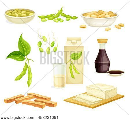 Soya Product With Soybean, Soy Sauce And Tofu From Edible Legume Plant Vector Set