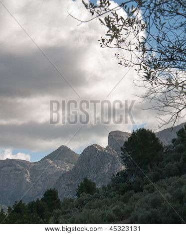 Paesaggio di montagna