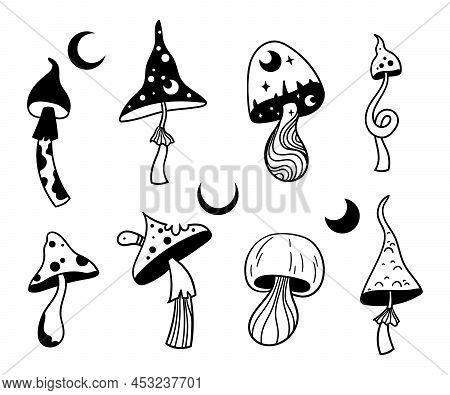 Mystical Celestial Mushrooms Isolated Clip Art Bundle, Magic Line Mushrooms On White, Witchy Amanita