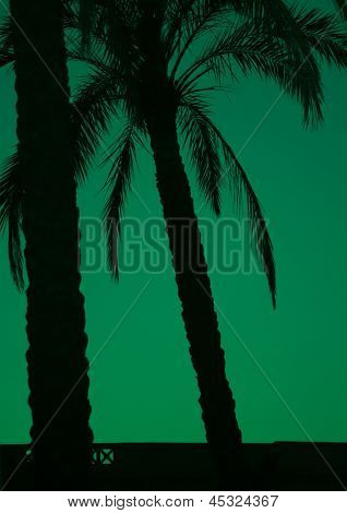 Palme sul verde smeraldo