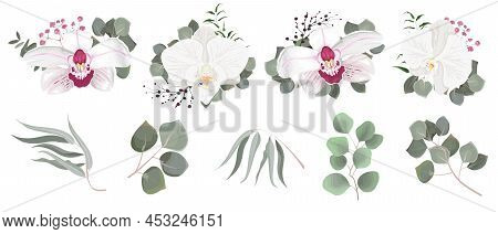 Vector Set Of Flowers And Herbs. White Orchid, Various Plants, Leaves, Grass. Collection Of Greenery