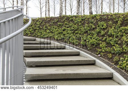 Tall Modern Winding Staircase With Railings In A Birch Grove