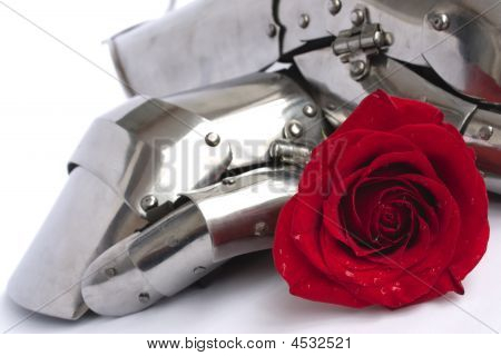 Rose i pancerza
