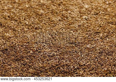 Dry Rolls Dill - Anethum Graveolens - Seeds On Flat Surface, Closeup Background With Selective Focus